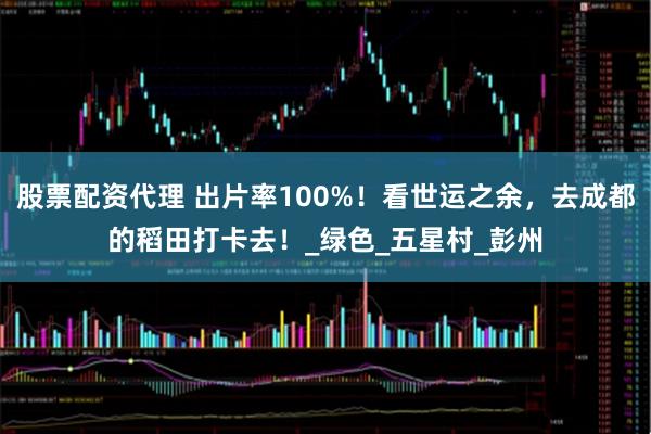 股票配资代理 出片率100%！看世运之余，去成都的稻田打卡去！_绿色_五星村_彭州