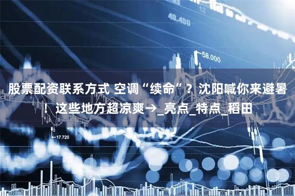 股票配资联系方式 空调“续命”？沈阳喊你来避暑！这些地方超凉爽→_亮点_特点_稻田