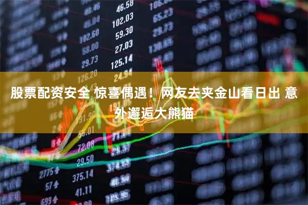 股票配资安全 惊喜偶遇！网友去夹金山看日出 意外邂逅大熊猫