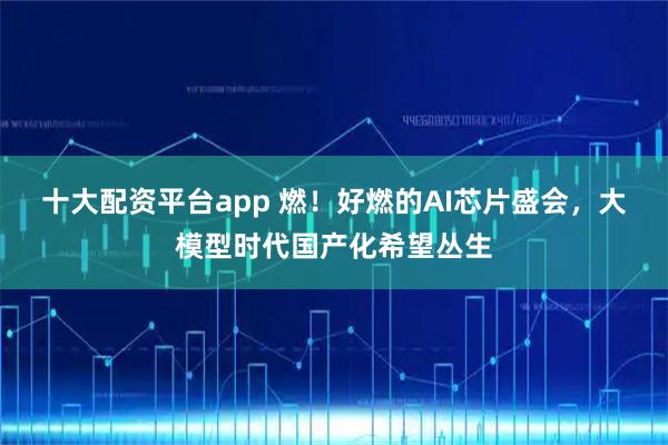 十大配资平台app 燃！好燃的AI芯片盛会，大模型时代国产化希望丛生